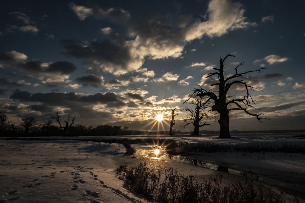 Photograph by Robert Woźniak