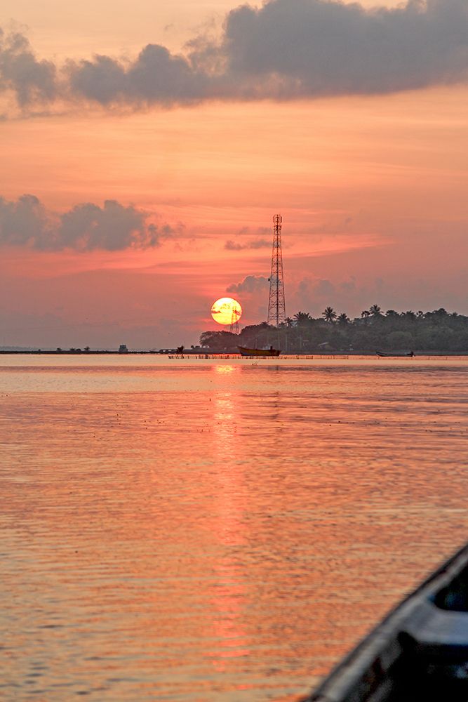 Photograph by Shreeharan Rajasingham