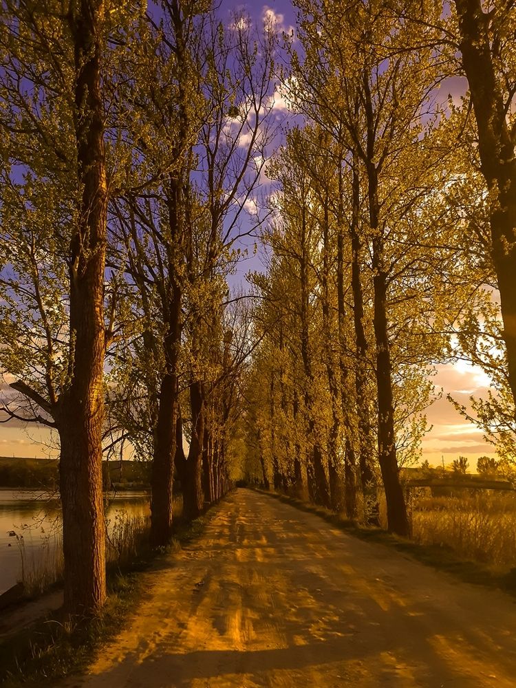 Photograph by Петро Бліщ