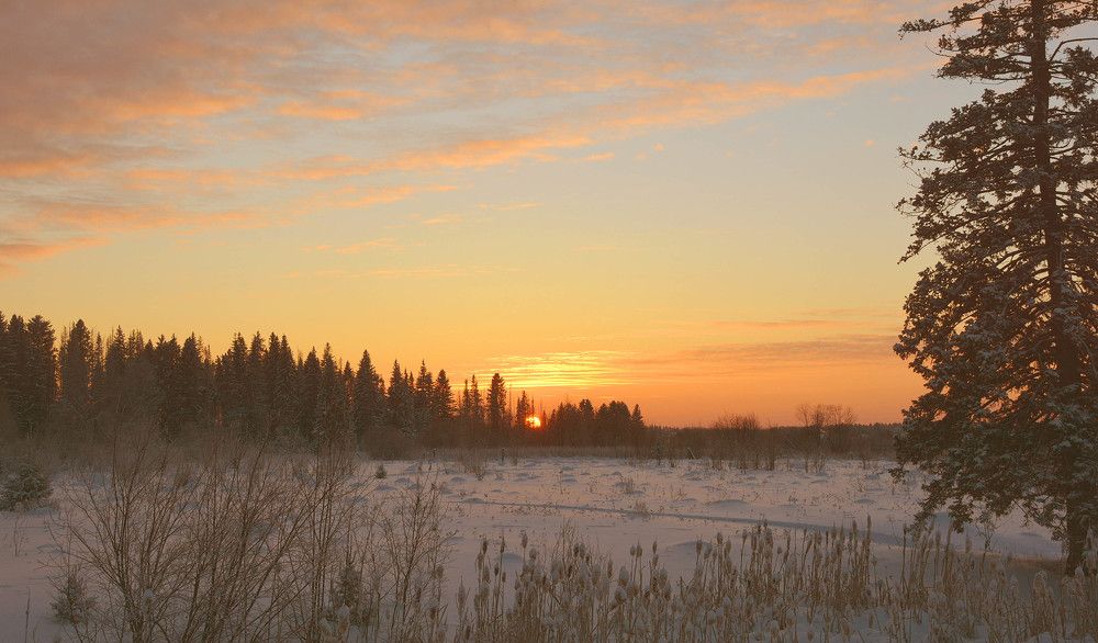 Закатилася зорька за лес...