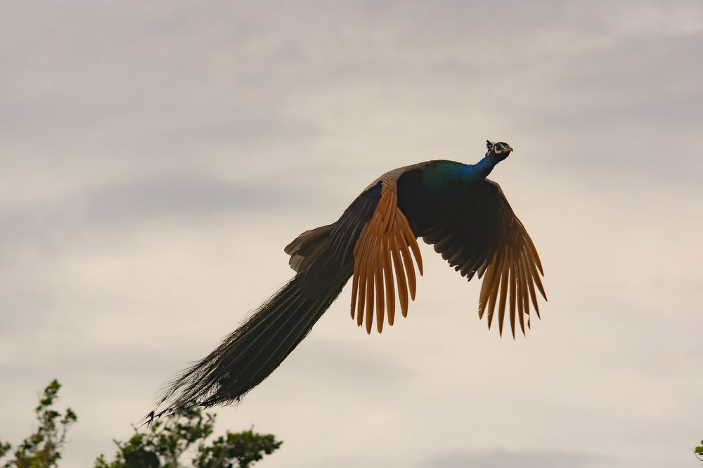 Photograph by Александр