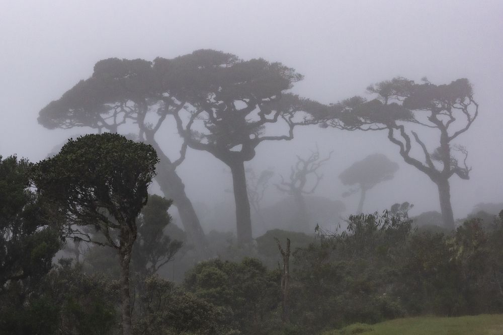 Photograph by Александр