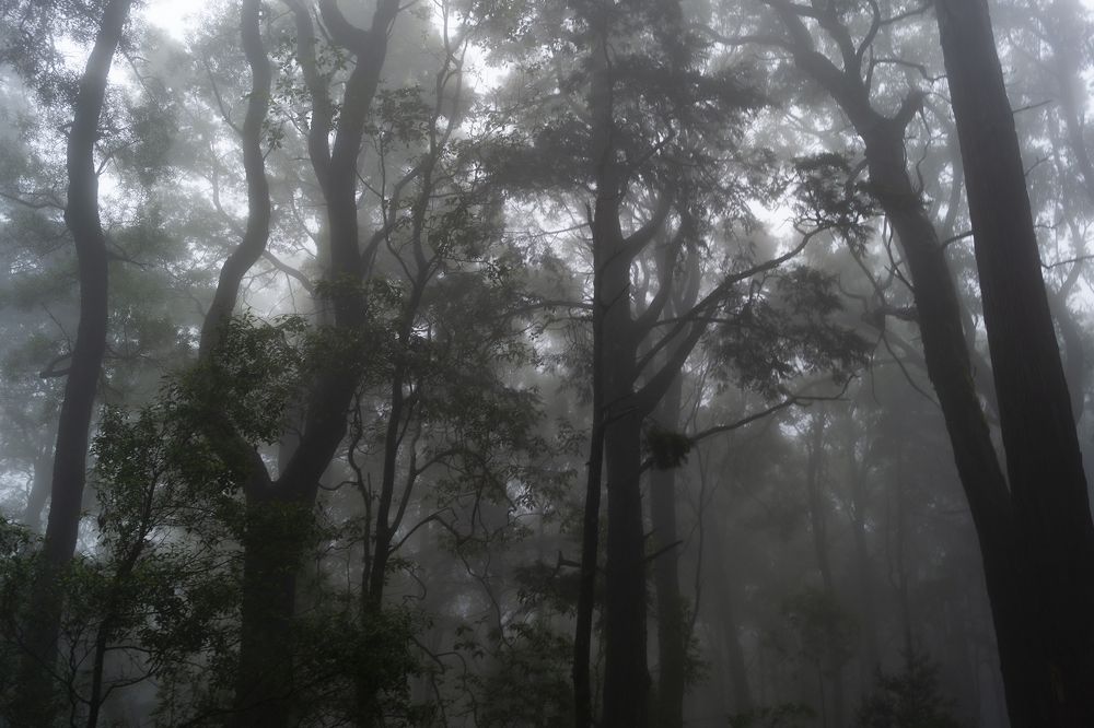 Photograph by Александр