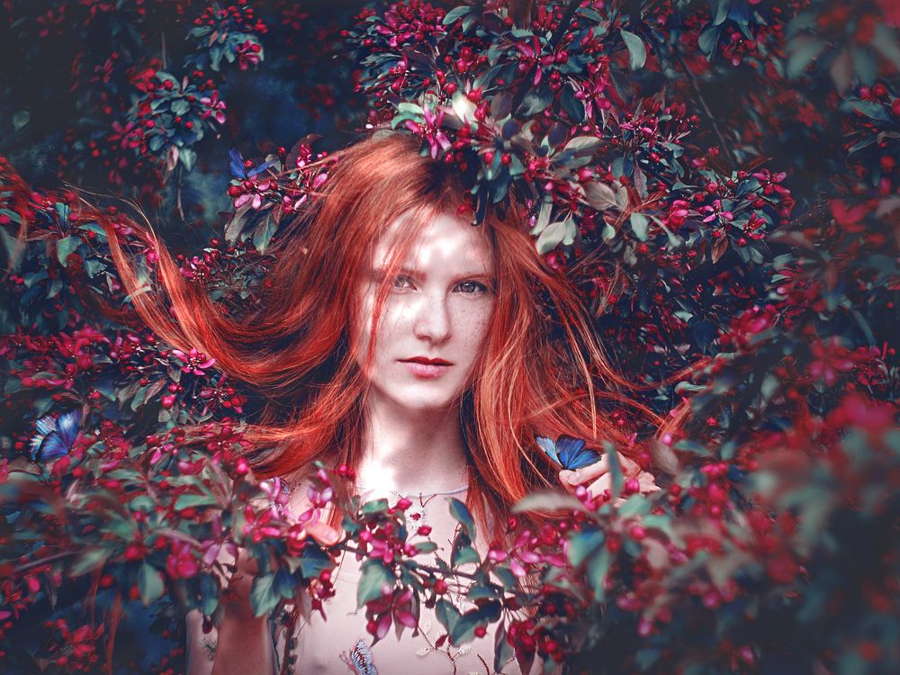 Photograph by Мария Шаркань