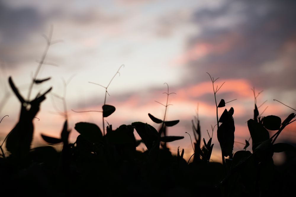 Photograph by Анастасия Власова