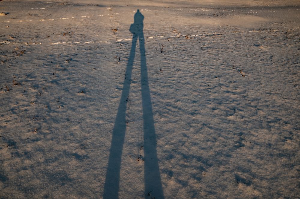 me, my shadow