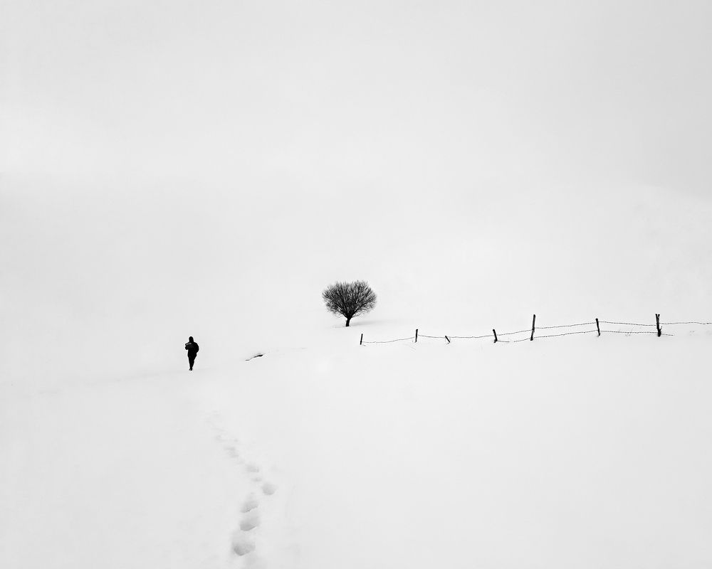 Фотография автора Alipour mohammad