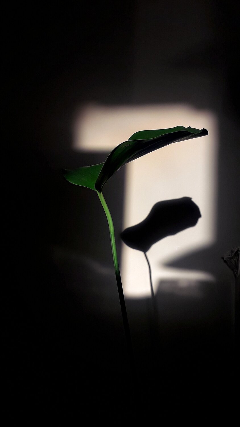 Photo #5891062