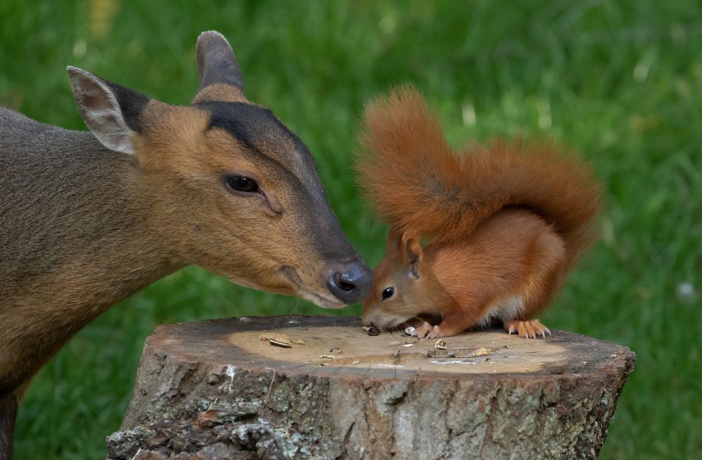 Come dine with me.....