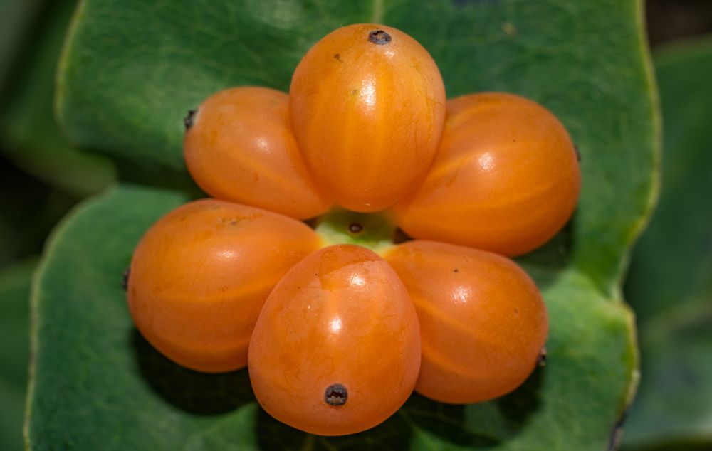 Photograph by slavka