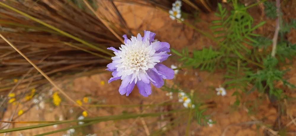 Photograph by Вассйм О.р