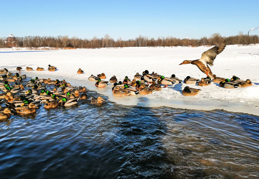 Photograph by Марина