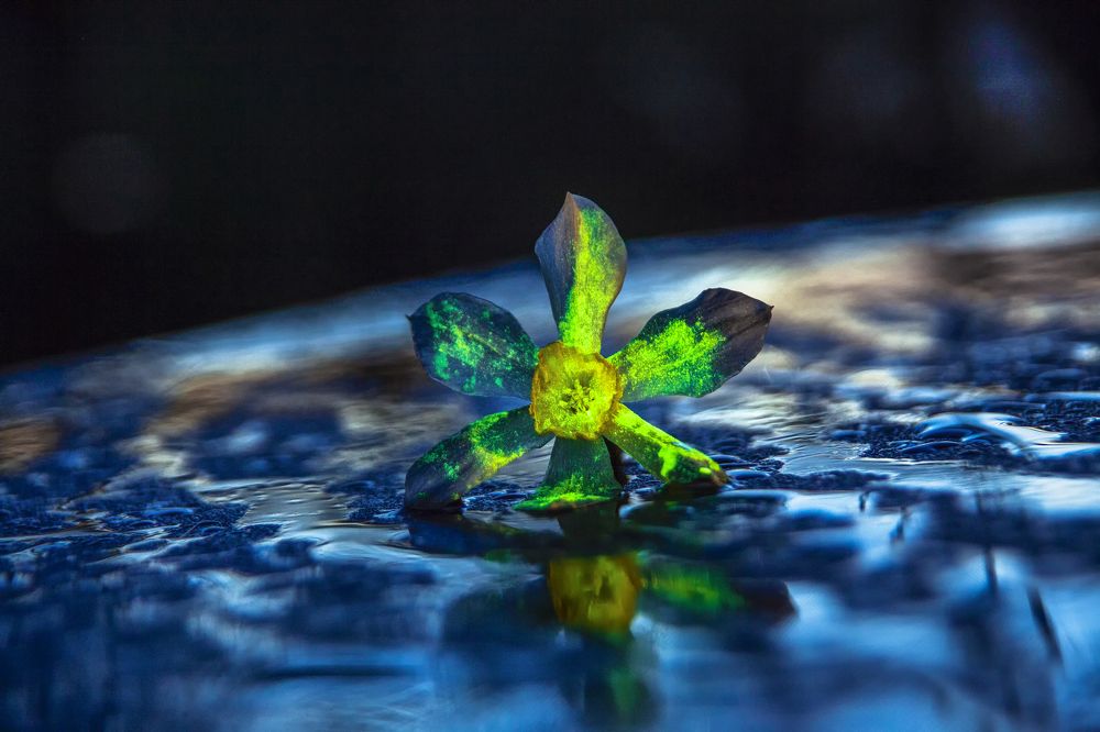 Photograph by Евгения Ботова