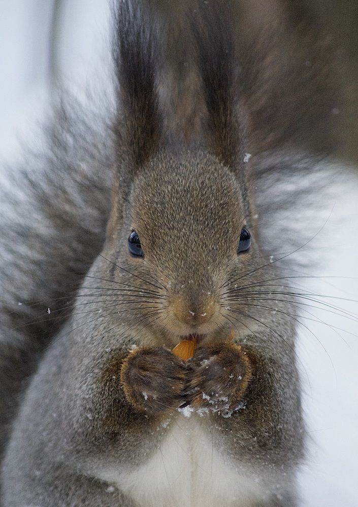 Photograph by @bersenika