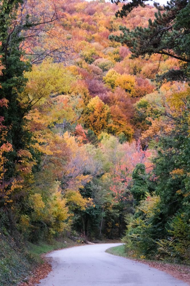 Photograph by Jasminka Đaković