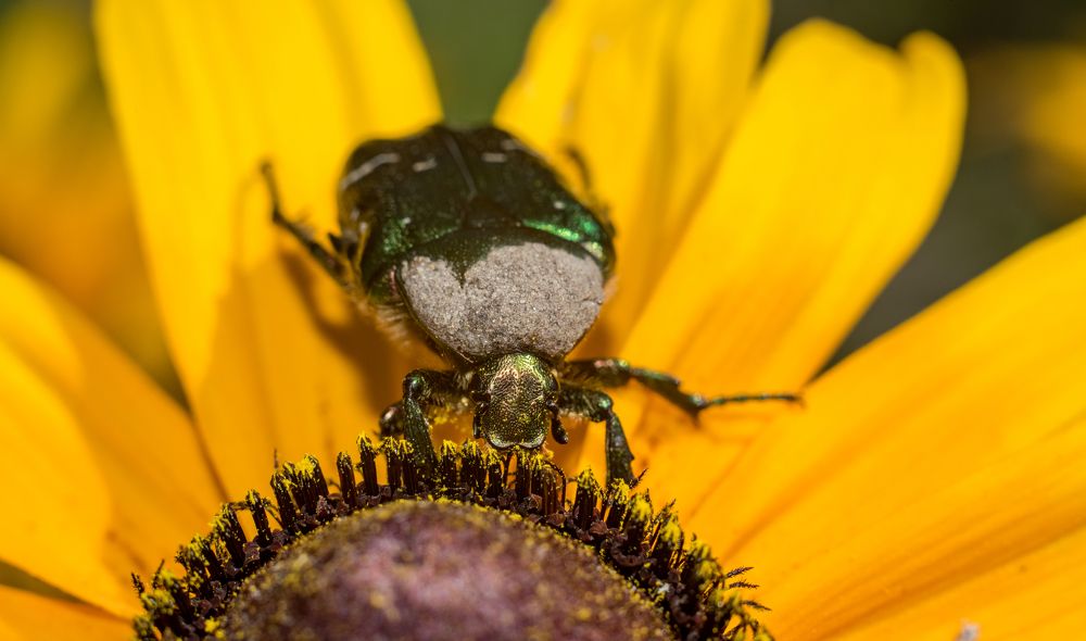 Photograph by slavka