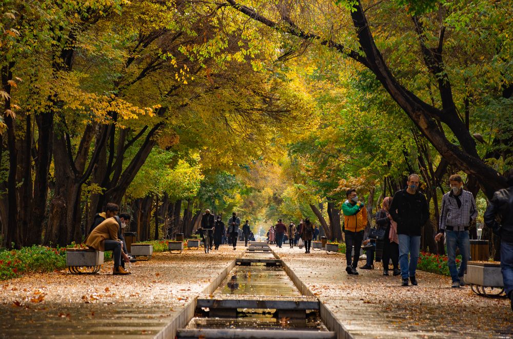 Photograph by mohammad mozaheb