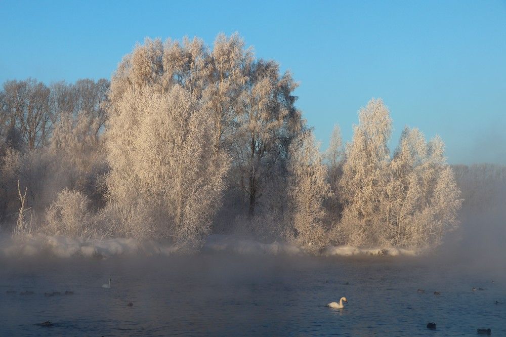 Photograph by Вера Ткачева
