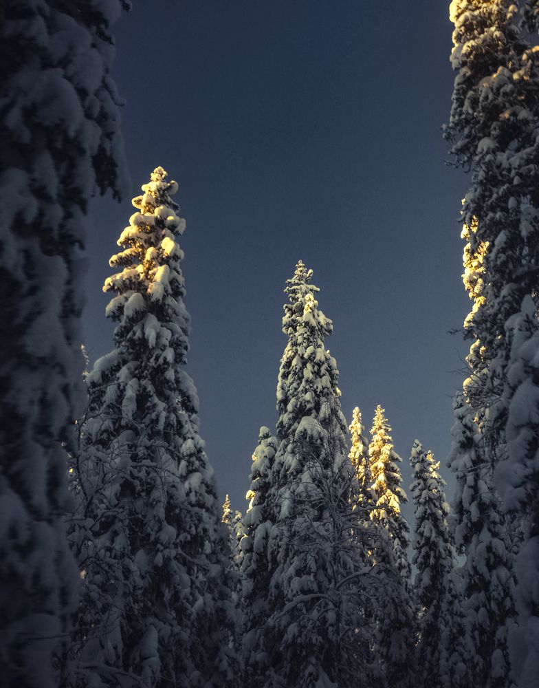 Photograph by Влад Макеенков