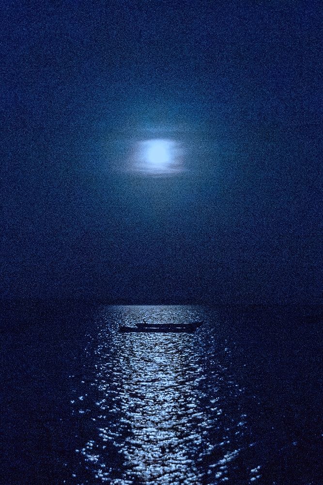 Photograph by Shreeharan Rajasingham