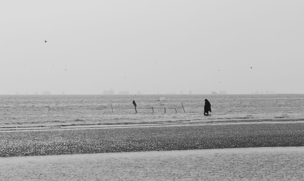 Photograph by Morteza Ghanbari