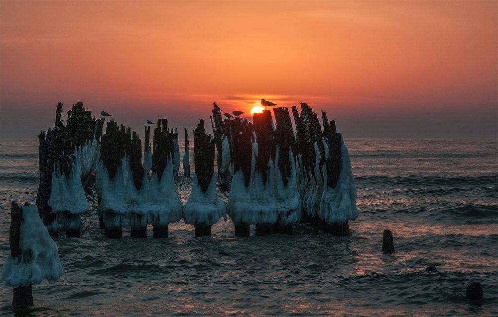 Photograph by Daiva Cirtautė