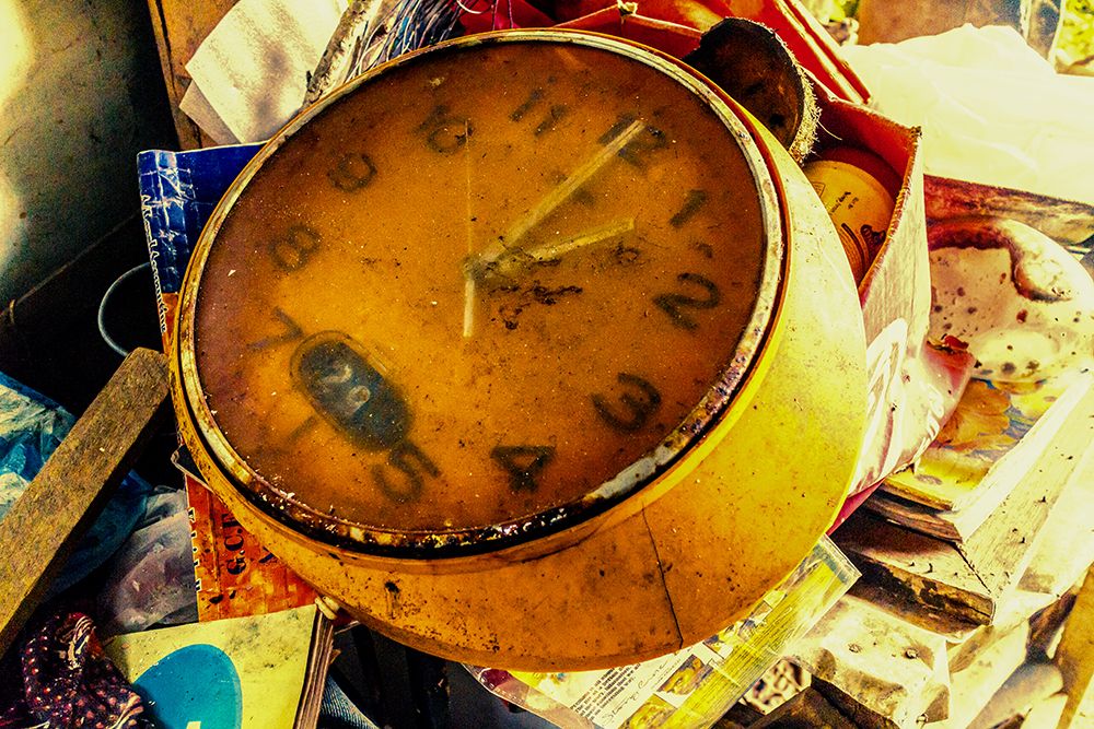 Photograph by Shreeharan Rajasingham