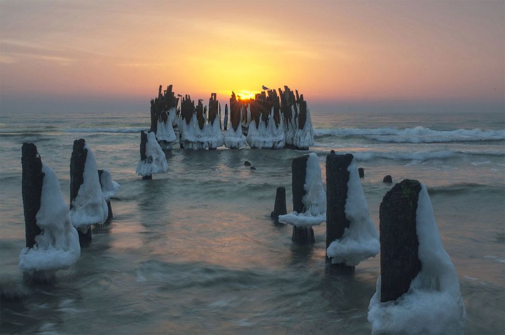 Photograph by Daiva Cirtautė