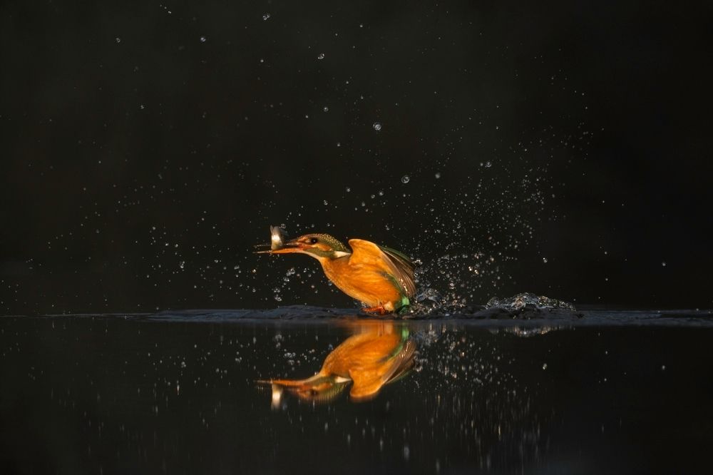 Photograph by Juraj Benčík