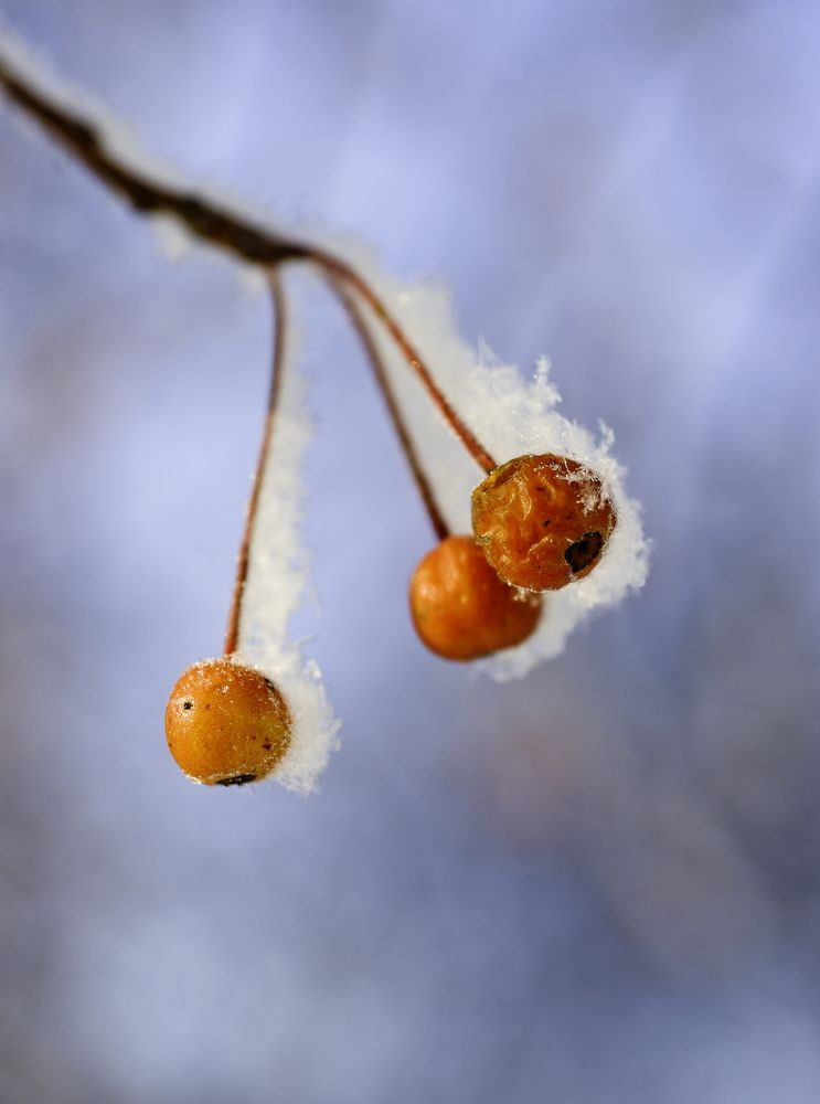 Photograph by Анатолий Стафичук