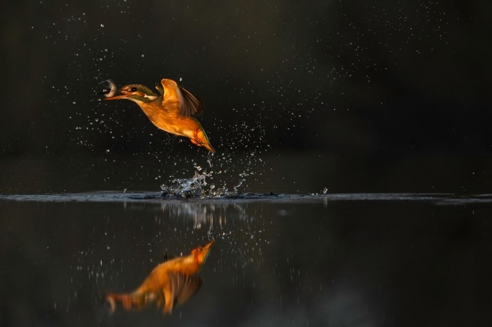 Photograph by Juraj Benčík