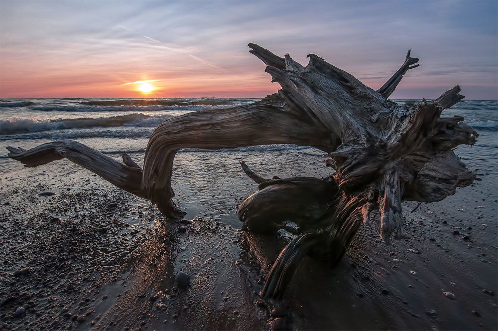 Photograph by Daiva Cirtautė