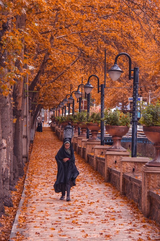 Photograph by Ali Masuomi