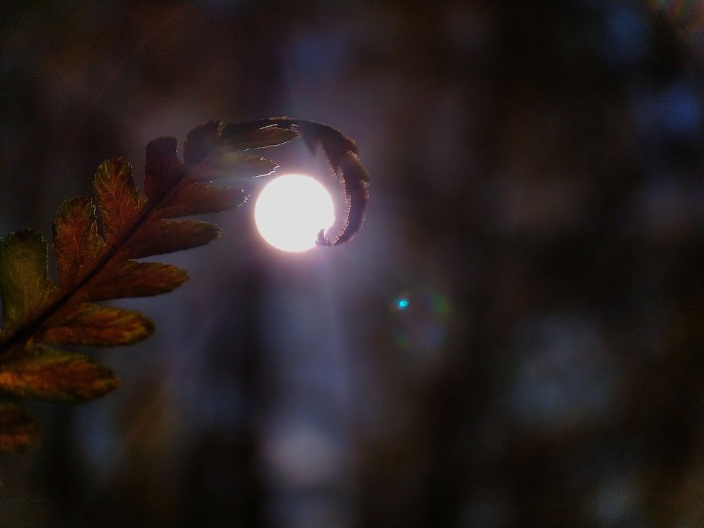 Photograph by Ольга Юминова