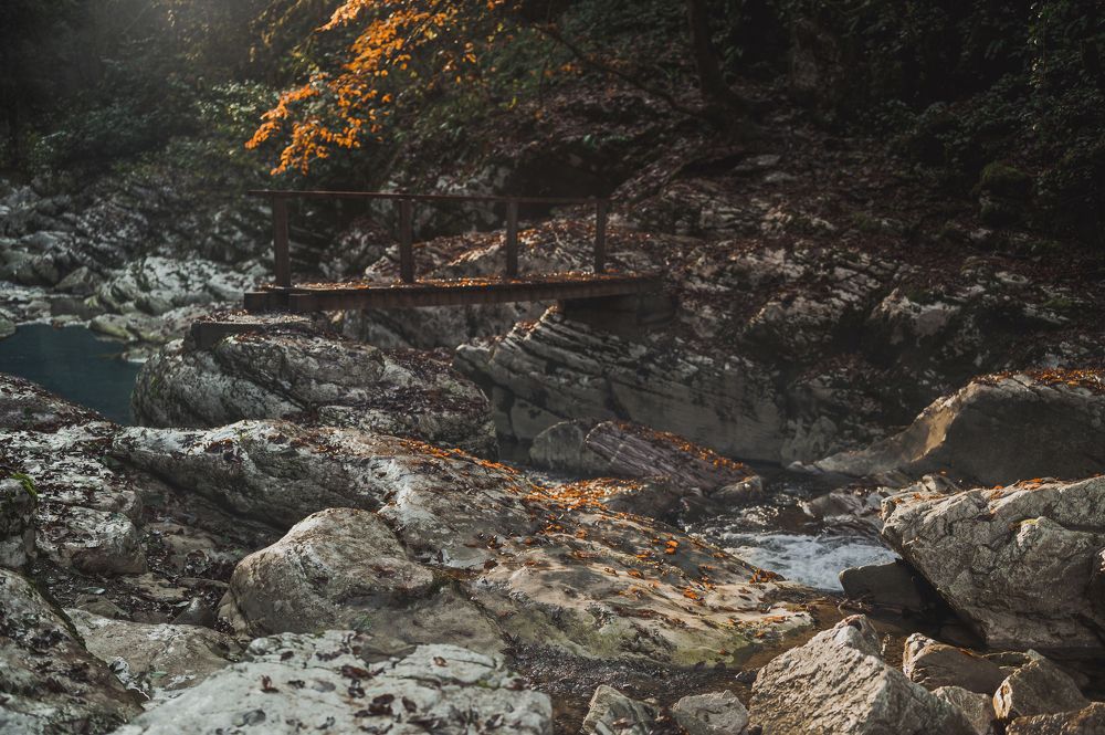 Photograph by Инна Фокина