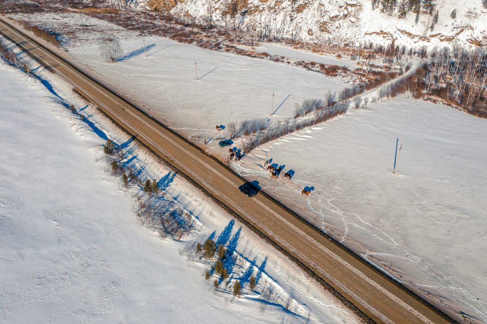 Photograph by Денис Нихайчик