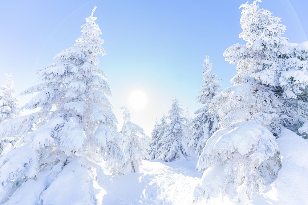 Photograph by Анастасия Белоконь