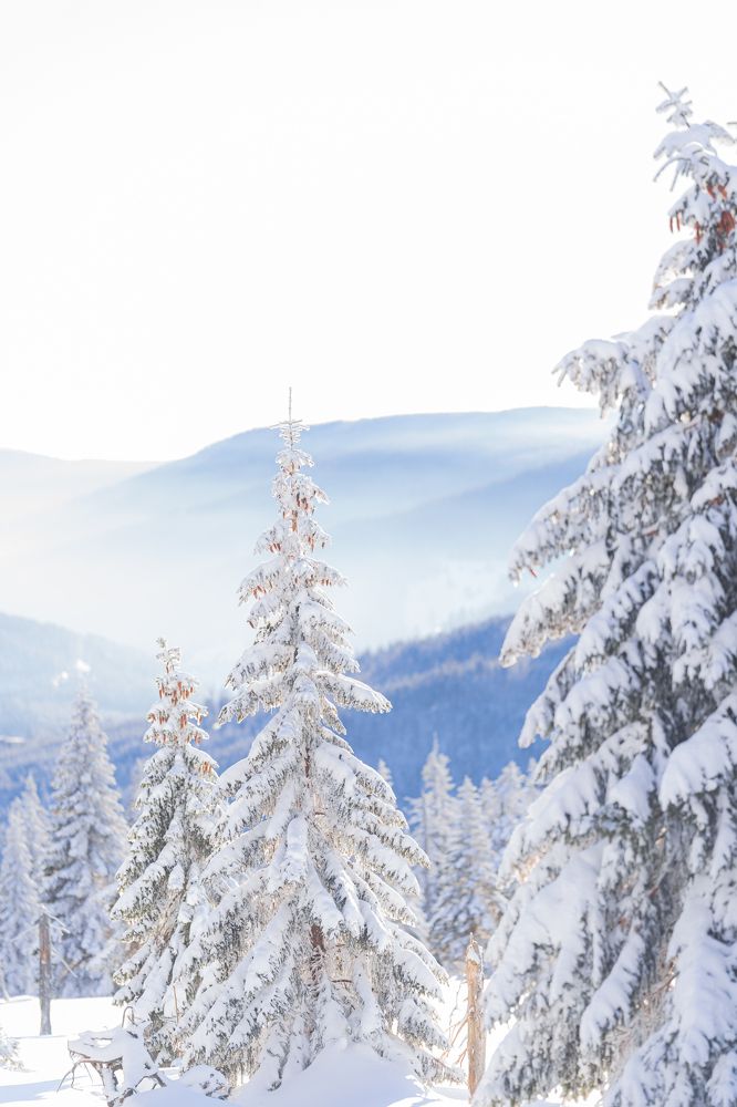 Photograph by Анастасия Белоконь