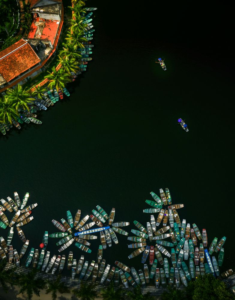 Photograph by Tuấn Nguyễn Tấn