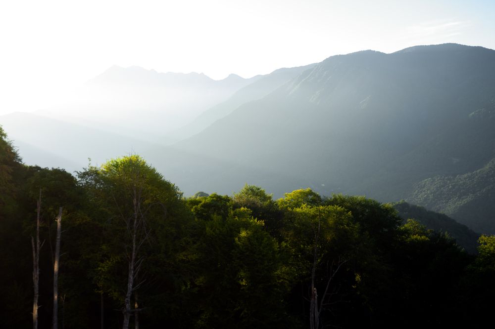 Photograph by Максим