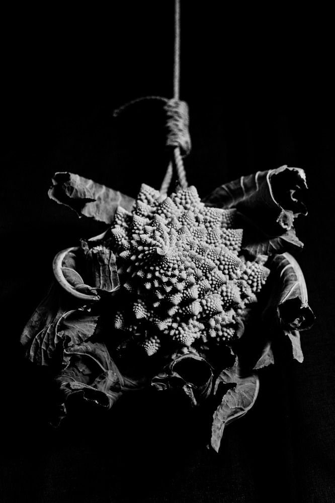 Photograph by Jordi de abril Fernández