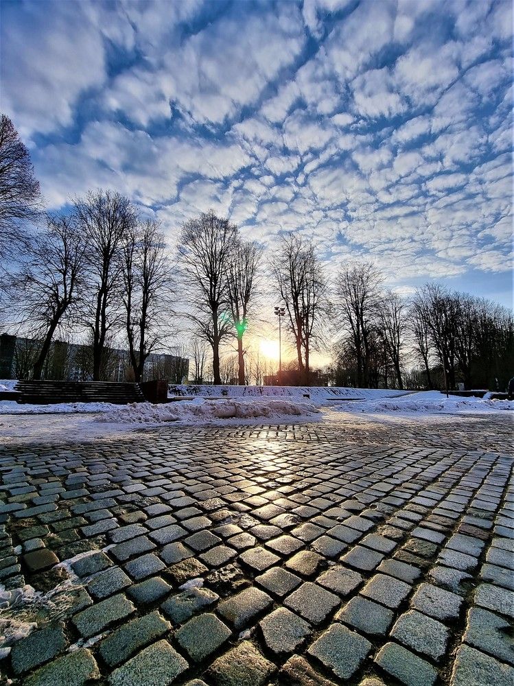 Photograph by 