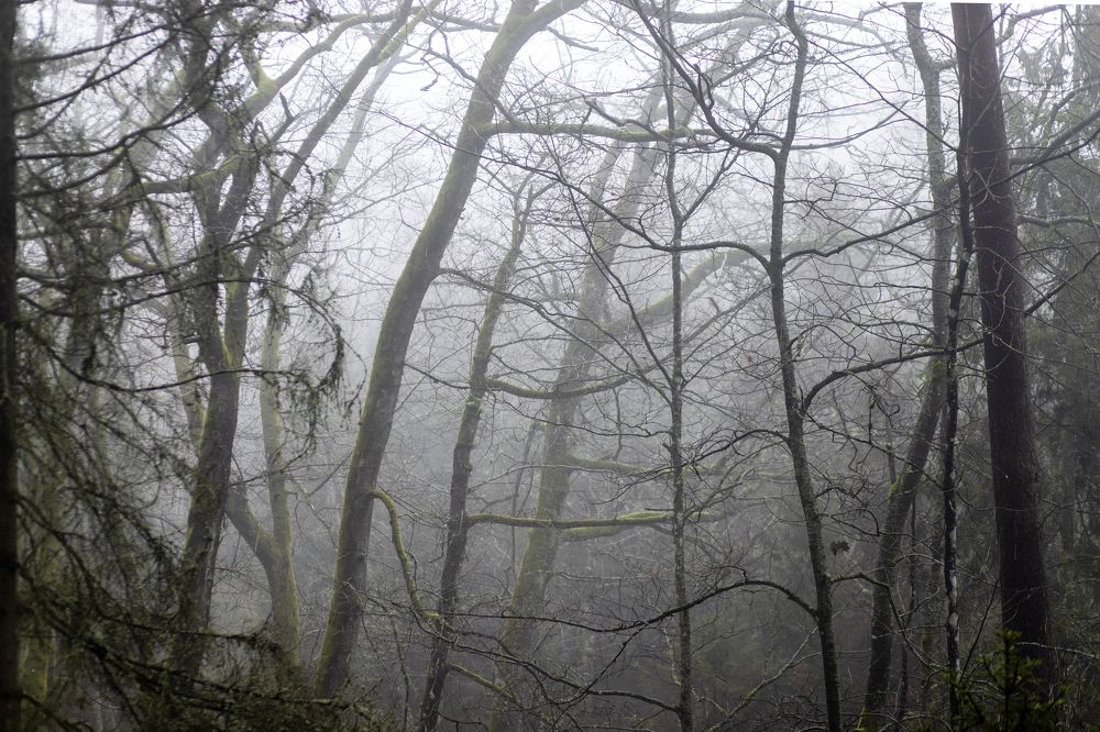 Photograph by Rolandas Valančauskas