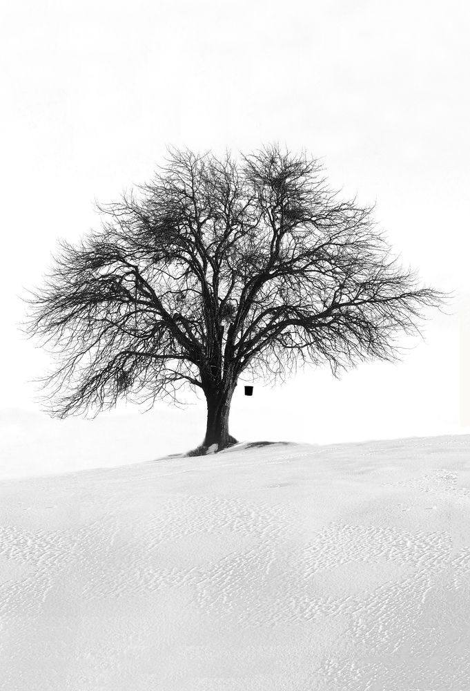 Photograph by Metehan Büyükkaya