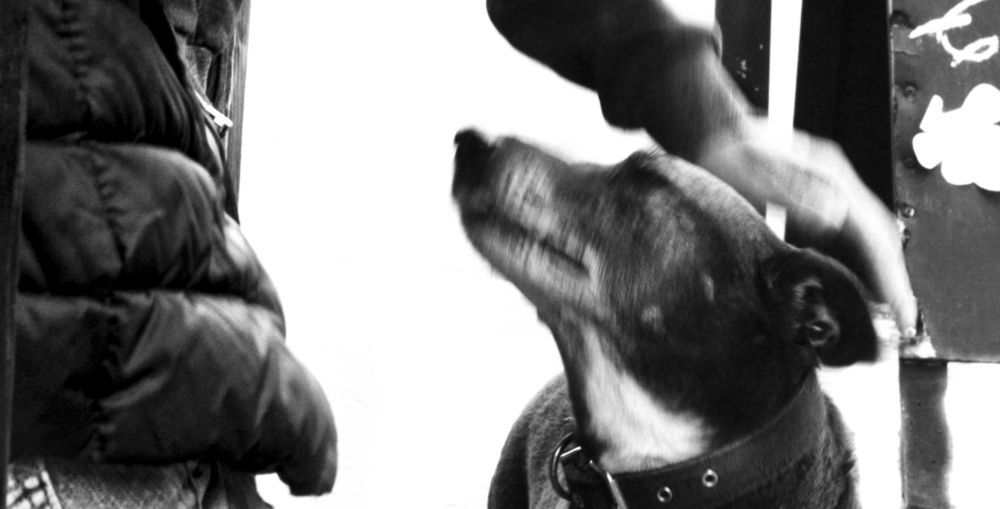 Photograph by Sebastian Dadone