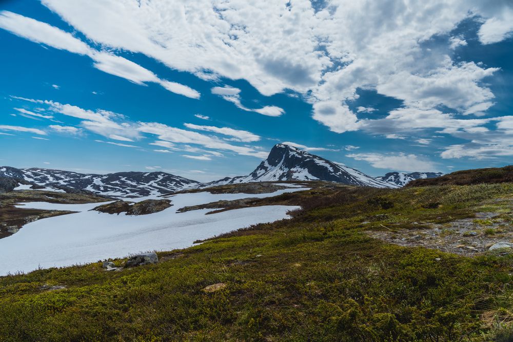 Photograph by Marcin Morawski