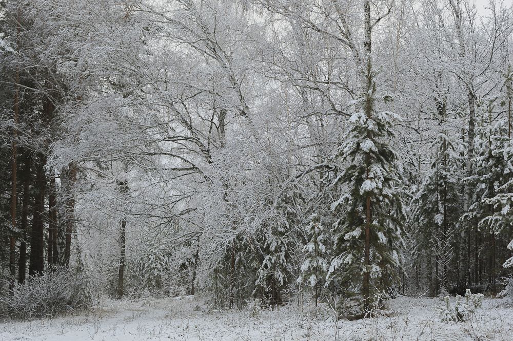 Фотография автора Рамиль Фаттахов