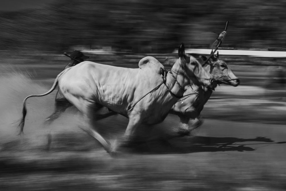 Photograph by Huynh Loc