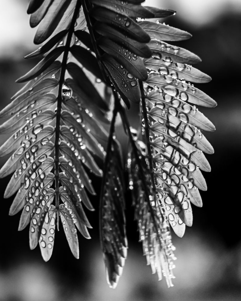 Photograph by Марина Сидоренко