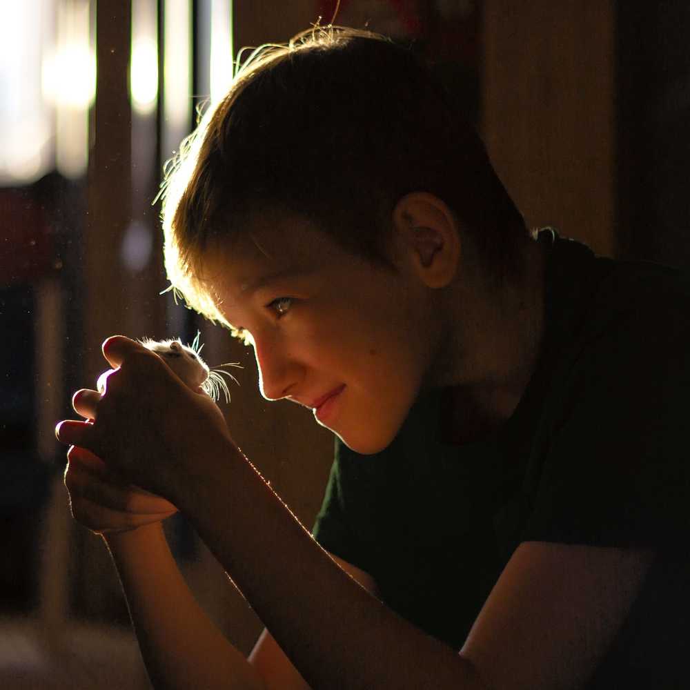 Photograph by Екатерина Кваша